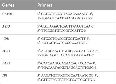 Short-chain fatty acids regulate erastin-induced cardiomyocyte ferroptosis and ferroptosis-related genes